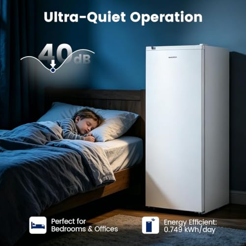 BANGSON 6.5 Cu.ft Apartment Freezer