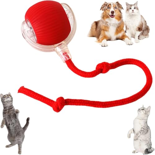 Eptchn Juguetes activos eléctricos interactivos para perros y gatos, bola rodante inteligente para perros y gatos, recargable (rojo)