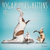 BrownTrout, Yoga Puppies and Kittens 2025 Mini Wall Calendar