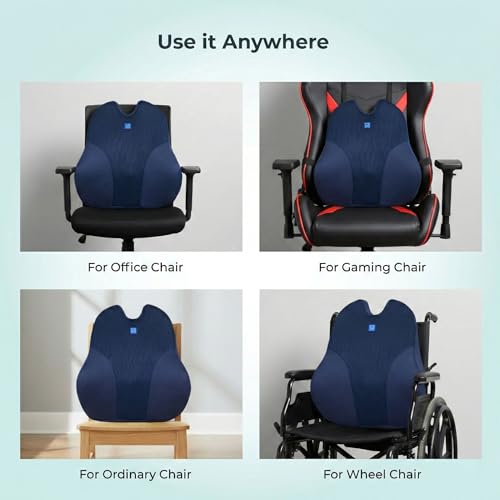 Image of Back Support for Office Chair | 5-Yr-Warranty| Memory Foam Lumbar Support Pillow | Orthopedic Backrest for Lower Back Pain Relief | Ergonomic Desk Chair & Car Cushion (Large)(Set of 3)