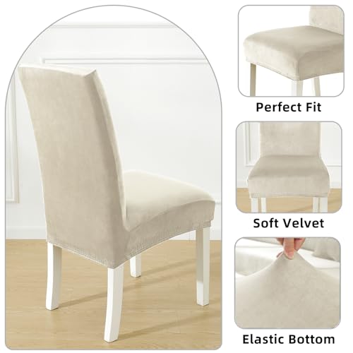CYCMACO Stuhlhussen Samt 4er Set, Stretch Stuhlüberzieher, Stuhlbezug Schwingstuhl, Hussen Für Stühle Hochlehner, Stuhlbezüge Kratzfest, Universal Chair Cover Waschbarer, Beige