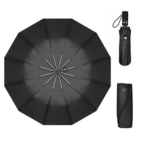 Umbrella Windproof with12 Fiberglass Ribs-Travel Compact Umbrella with Auto Open/Close for Men&Women Ruxy Humy