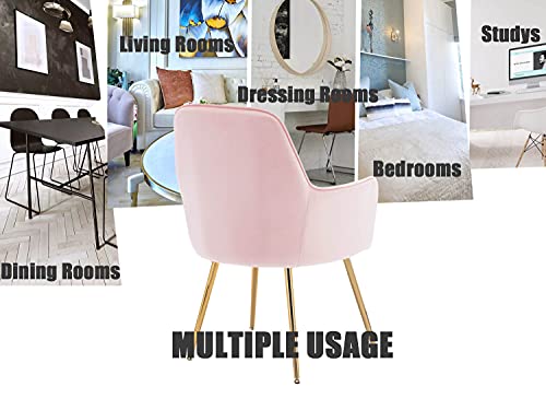 Altrobene Velvet Accent Chair, Home Office Desk Chair No Wheels, Modern Dinging Chair, Living Room Bedroom Arm Chair, Girls Vanity Chair, Golden Finished, Pink #TOP6