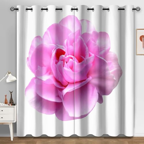 Cortinas Salon Dormitorio Pétalos Rosados Elegantes Cortinas Termicas Aislantes Frio y Calor Poliéster Lavable Habitación Infantil Decoración Cortina Opaca con Agujeros 2 Piezas 2x140x250 cm
