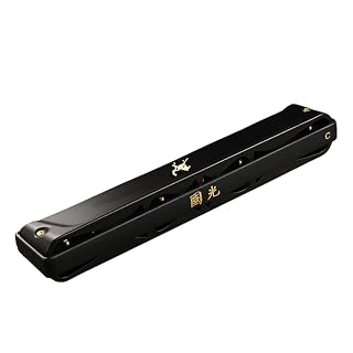 Harmonica Vibrato harmonica Zodiac harpe 24 trous orgue professionnel instrument clé C noir - Les Beatles, Paul McCartney, John Lennon, RIngo Starr, George Harrison Harmonica Vibrato harmonica Zodiac harpe 24 trous orgue professionnel instrument clé C noir – Image 3
