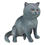 Excellent cadeau pour les enfants - Idéal pour les anniversaires, les vacances, les récompenses scolaires ou toute occasion célébrant l'amour d'un enfant pour les animaux.