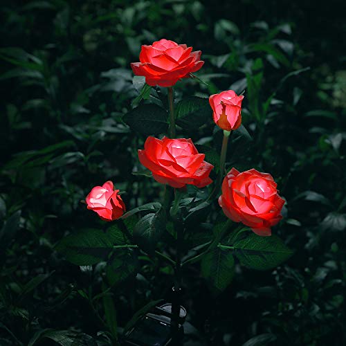 Éclairage extérieur solaire de jardin, lampes de jardin avec lumières LED en forme de rose pour jardin, pelouse, terrasse, chemin, rouge