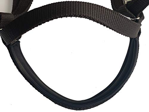 Majestic Ally Nylon Padded Browband Headstall With Reins For Horses (Chocolate, Full) #TOP5