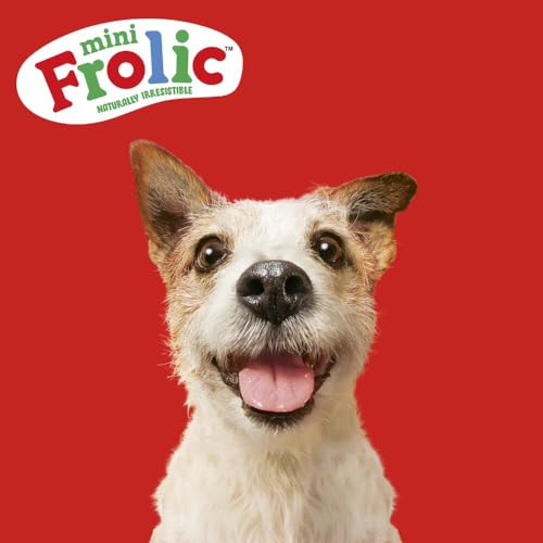 Frolic Mini Hunde Trockenfutter für kleine Hunde mit frischem Rind 4x1,5kg
