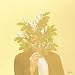 French Kiwi Juice