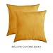MIULEE Pack of 2 Velvet Soft Solid Decorative Square Throw Pillow Covers Set Cushion Case for Fall Sofa Bedroom Car18x18 Inch 45x45 Cm