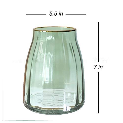 Senliart Clear Glass Vase, Gilded Decor Green Table Centerpiece Vase 7(H) X 5.5(W) #TOP2