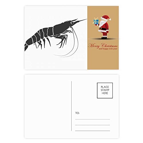 Cartes postales Discover World Crevettes, le cadeau idéal avec organisme marin et Père Noël