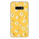 1001coques