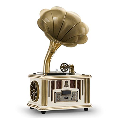 Record player, Vinyl Gramophone Player, with 2 stereos, FM Radio with Blue Night
