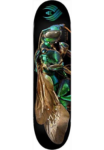 Powell Peralta Skateboard Deck Biss Flight Cuckoo Bee 8.0" x 31.45"