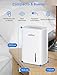 Hommak Deshumidificador Eléctrico portátil, 700ml Mini Dehumidifier Pequeño con Modo de Reposo...