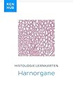 elsevier histologie lernkarten  Histologie Lernkarten: Harnorgane: Lerne alle Organe und Gewebe unterwegs (Kenhub Lernkarten 70)