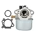 Panari 799868 Carburetor for Snapper p2185020 124t02 Engine 498170 497586 497314 698444 498254 497347 497410 496115