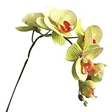 【【Material】: Las flores están hechas de tela de seda y los tallos están hechos de plástico. Las flores artificiales están hechas de materiales saludables y ambientales.