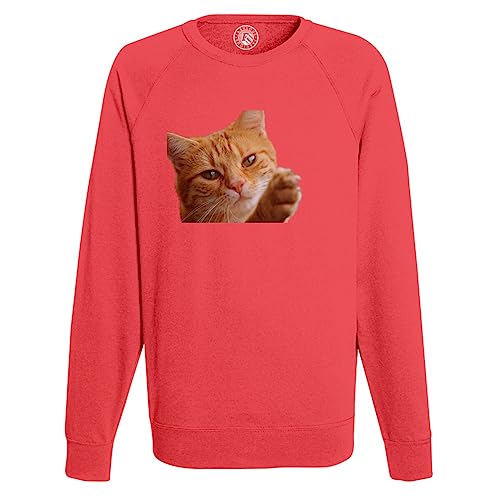 Sweat shirt homme chat roux à poil long en coton doux confortable