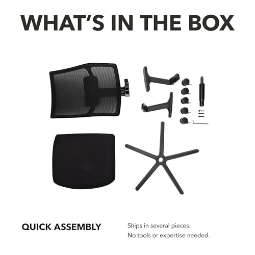 Image of HON Ignition 2.0 Mid‑Back Ergonomic Office Chair, Mesh Task Seating with Lumbar Support, Advanced Synchro‑Tilt, Height and Width Adjustable Arms, Titanium Frame, Sky