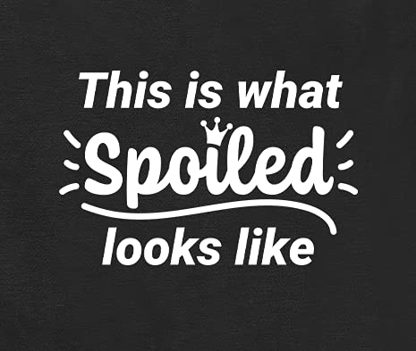 Funny Dog Hoodies What Spoiled Looks Like Cute Dog Clothes Pet Puppy Cat Sweatshirt Dog Accessories For Small & Large Dogs Soft Breathable | Light Pink (2X-Large) #TOP3