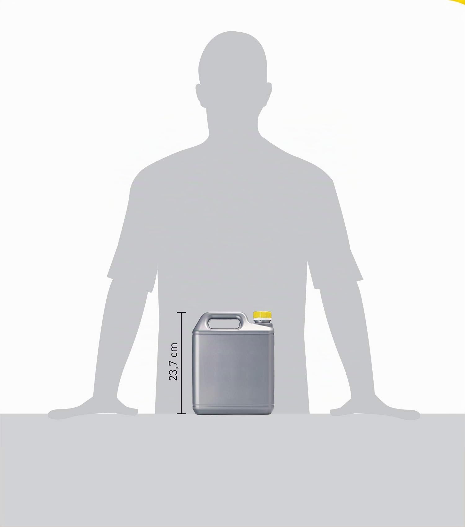 FILA Solutions NORUST XL Smacchiatore Ruggine Marmo Gres Cotto - 5L | Soluzione concentrata per rimuovere macchie di ossidazione estese da pavimentazioni e pietre naturali