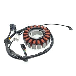 Tchuyan Zündspule für Kawaski BR250 Z250SL