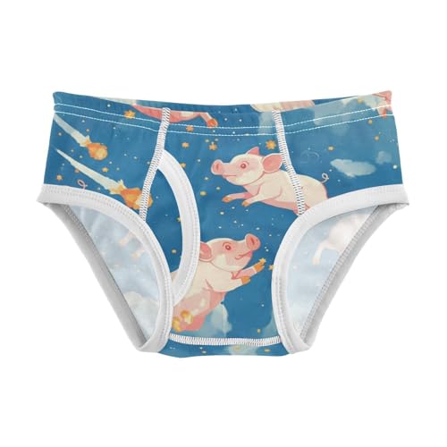 KLL Flying Pigs A Dark Blue Sky Little Boys Soft Underwear Briefs Breathable Children Panties