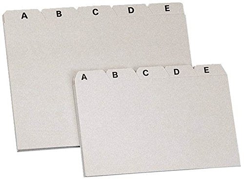 Preisvergleich Produktbild Leitregister PP - A5 quer, grau