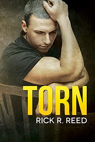 Torn view 2