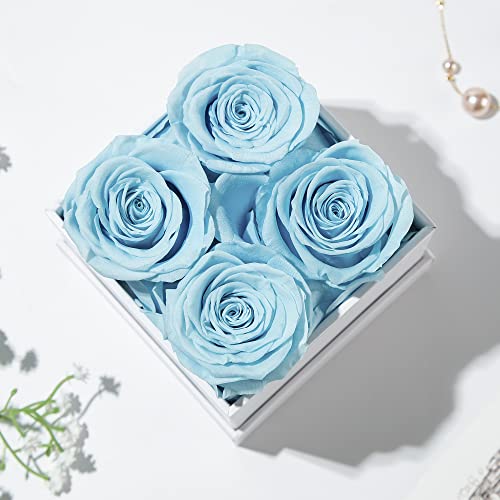Roses éternelles préservées ciel boîte de 4 fleurs DuHouse