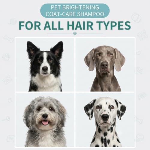 Pet Shampoo for Dogs & Cats, Fragrant Dog Shampoo for Itchy Skin Relief — view 6
