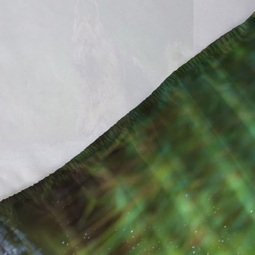 Drap housse imprimé animaux vert 140x200 cm en textile respirant durable