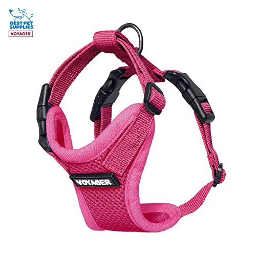 Image of Best Pet Supplies Voyager Step-in Lock Pet Harness w Reflective Pet Leash Combo Set with Neoprene Handle 5ft - Supports Small, Medium and Large Breed Puppies /Cats - Fuchsia Set, XXXS