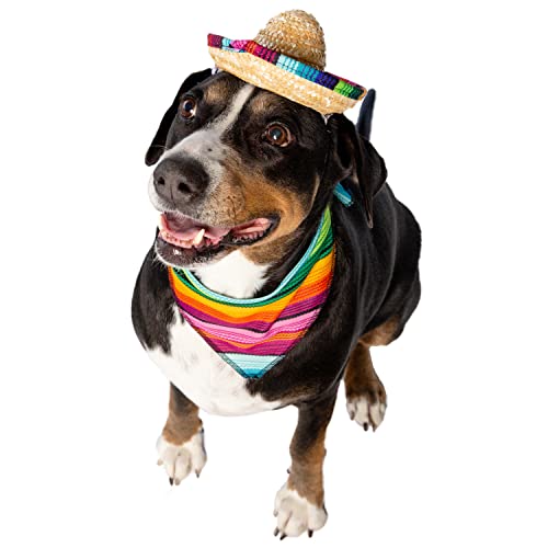 Disfraz Mexicano para Perro y Gato 2 Piezas Sombrero y Collar miniatura 4