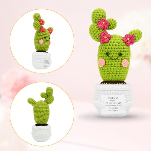 Image of Hoedia Handmade Emotional Pickle Gift, Emotional Cucumber Crochet Doll Inspirational Gifts with Cards, Cute Knitted Funny Support Pickle Potato Friend Birthday (Blossom Cactus)