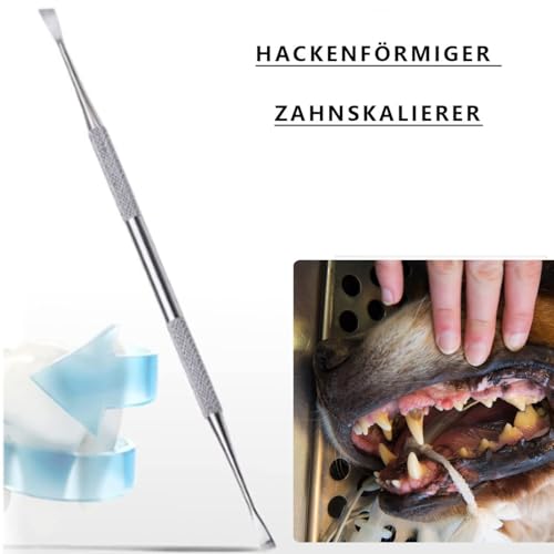 LAIYOHO 3-teiliges Haustier-Zahnsteinentferner Set: Doppelköpfiger Zahnstein-Entferner & Zahnstocher aus Edelstahl für Hunde & Katzen