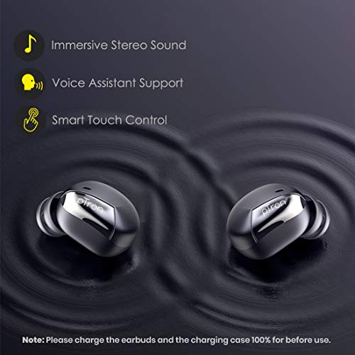 pTron Bassbuds Urban in-Ear True 
