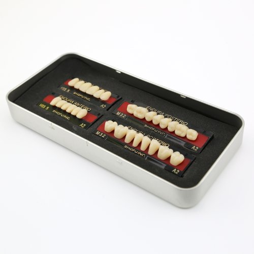 Autek 1 Box/Falsch setzen neue Dental Zahn-Zahn-Prothesengröße M32 A2 Farbe 28-pc Zähne