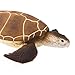 Safari Ltd. Green Sea Turtle Figurine - Detailed 4
