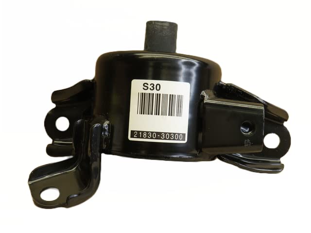 Amazon.com: BIG TIGER PARTS Genuine OEM 21830-30300 Transmission