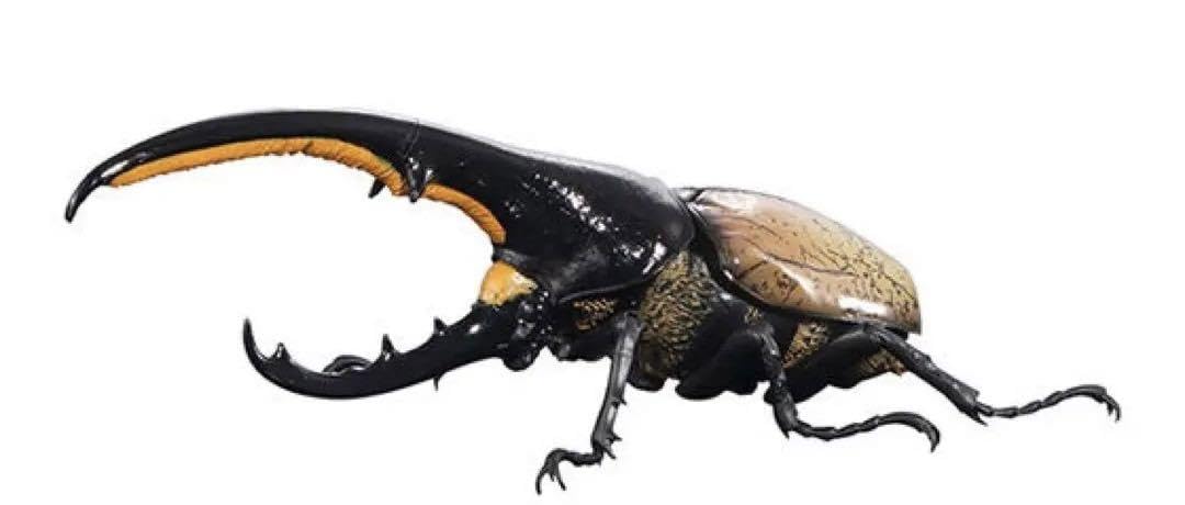 Amazon.co.jp: いきもの大図鑑ヘラクレスオオカブト ヘラクレス