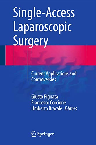 Single-Access Laparoscopic Surgery view 2