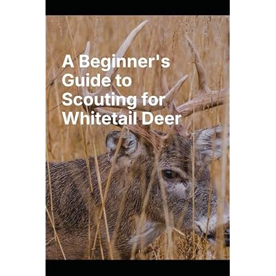 A Beginner's Guide to Scouting for Whitetail Deer