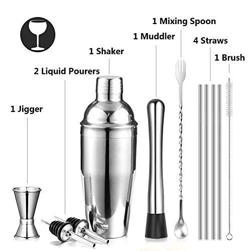 Cocktail Shaker Set for Professional Bartender and Home Bar including 24oz Martini Shaker, Measuring Jigger, Muddler, Mixing Spoon, 2 Liquor Pourers, 4 Drinking Straws & 1 Brush - Thumbnail 5