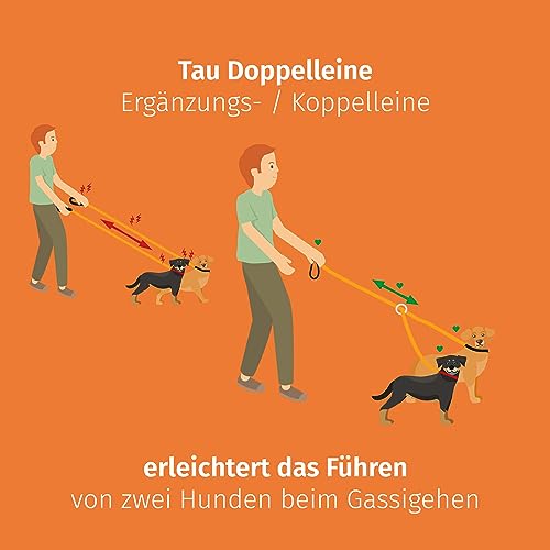 Floxik Tau Doppelleine für 2 Hunde grau/orange - reflektierend, dehnbar und verhedderungsfrei – Doppelte Hundeleine zum Koppeln - perfekt für kleine bis mittelgroße Hunde