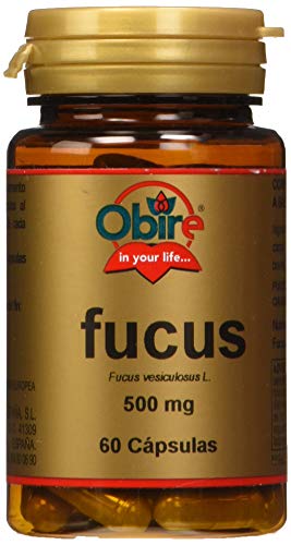 Beneficios del alga fucus, ayuda en la pérdida de peso ...