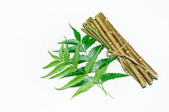 Organic Neem Datun/Used for Cleaning teeth/Strengthen tooth,Organically kills jerms keep away from teeth diesease
